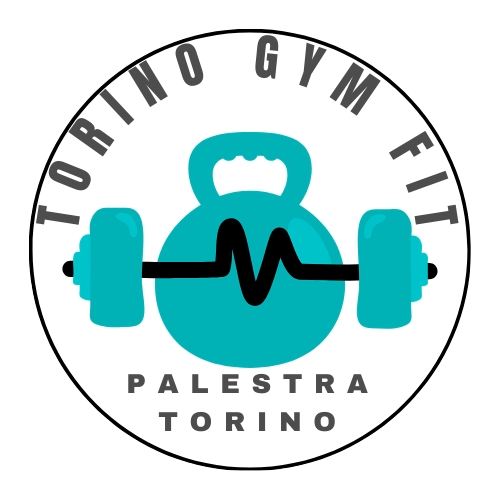 Palestre Torino